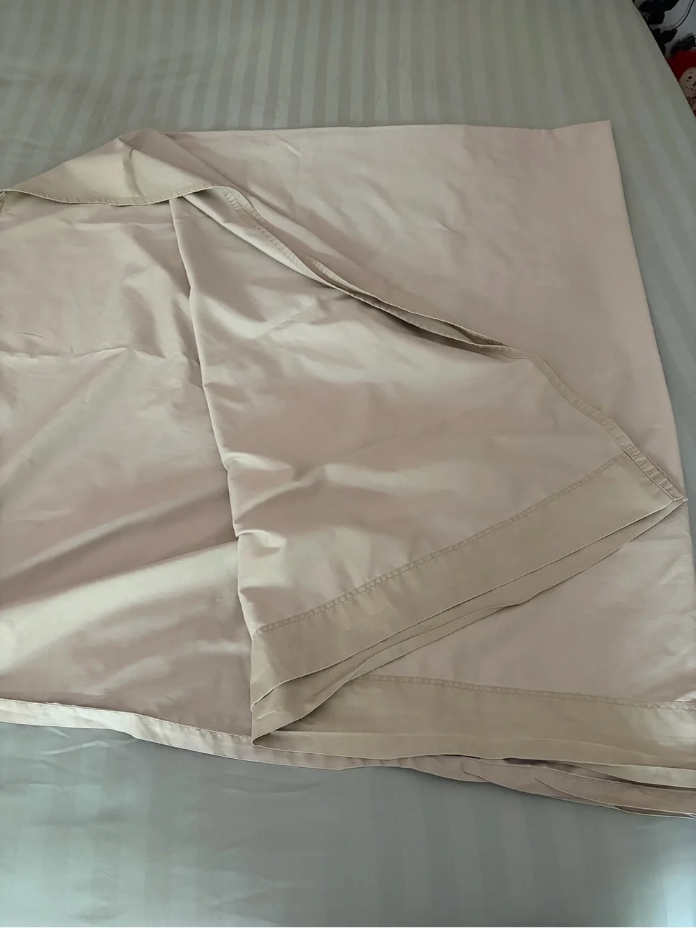 Neutral Beige Queen Sized Flat Sheet